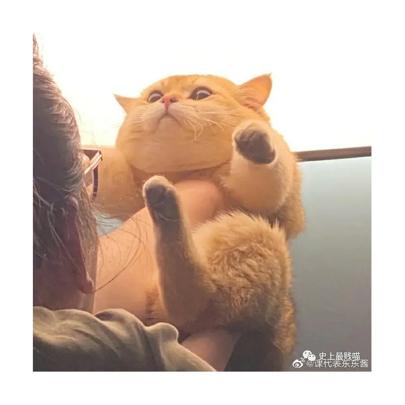 假期渴望症