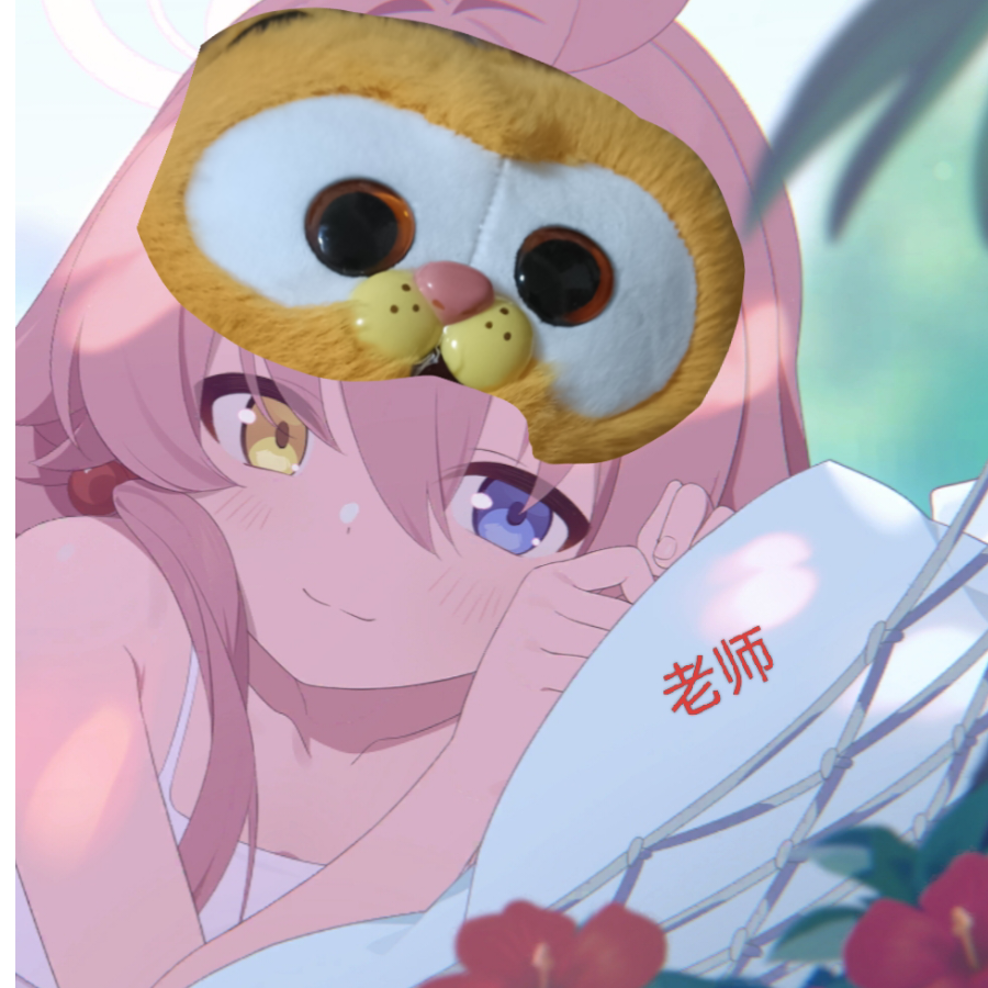 B站v小小星野