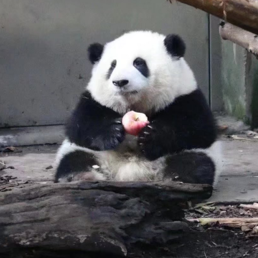 禄昇