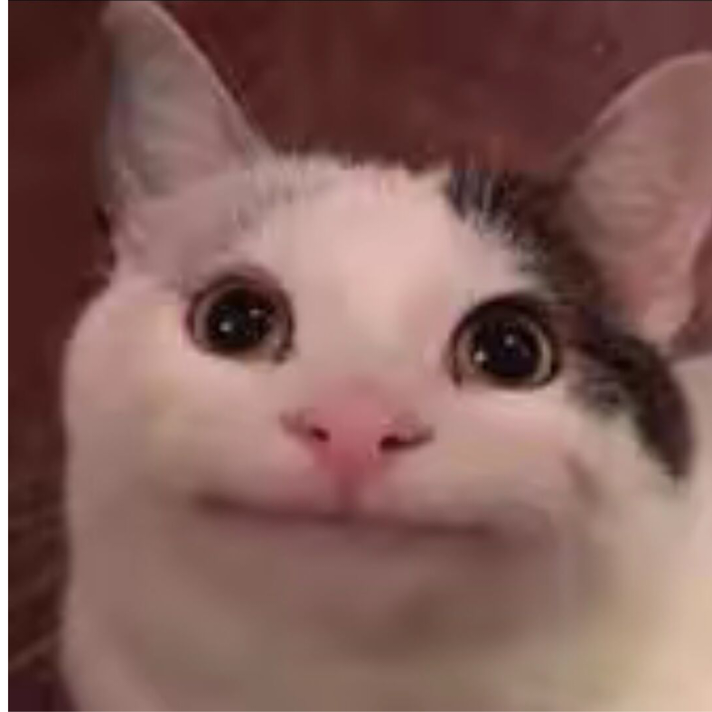 余白