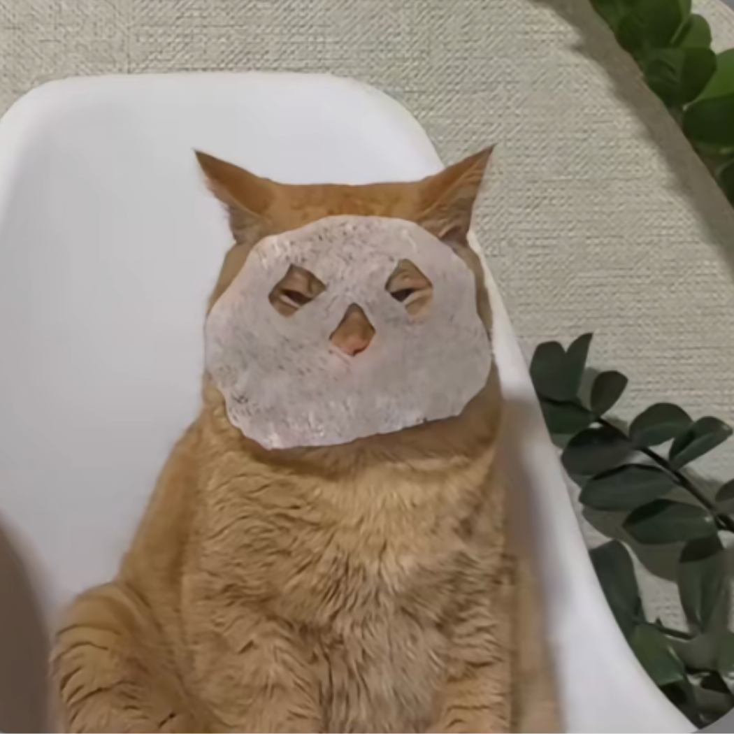 秋水画寒月