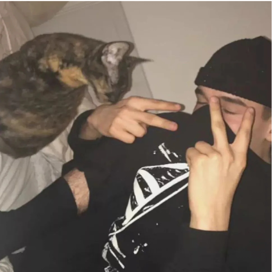 菠菜贱卖，好吃大个的