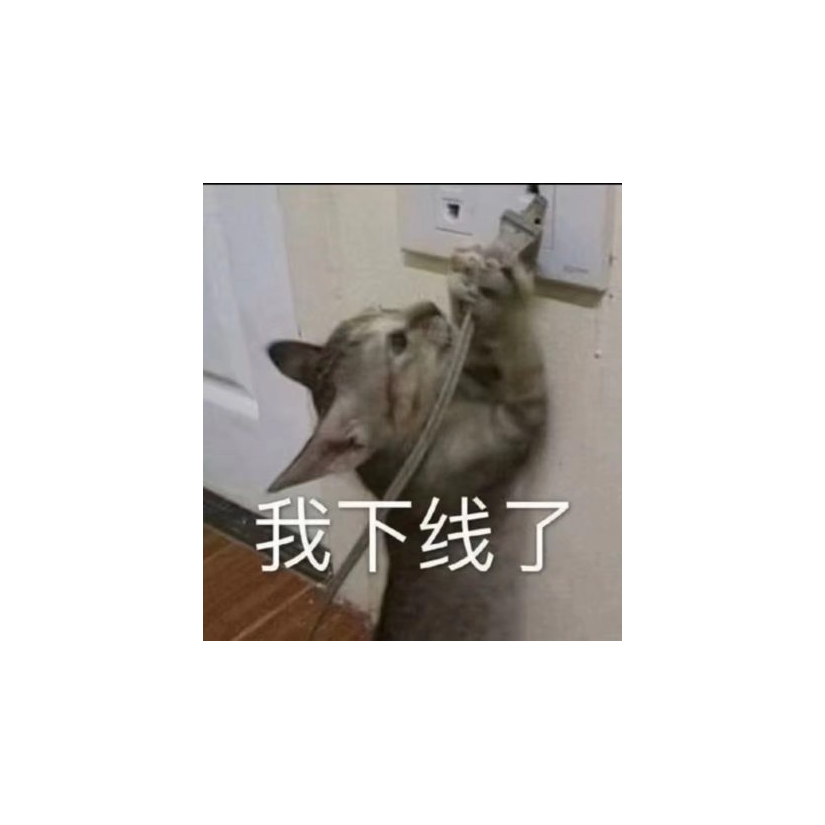 采了一朵莲少