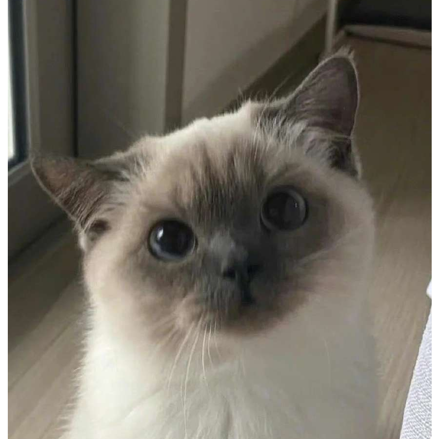 除夕