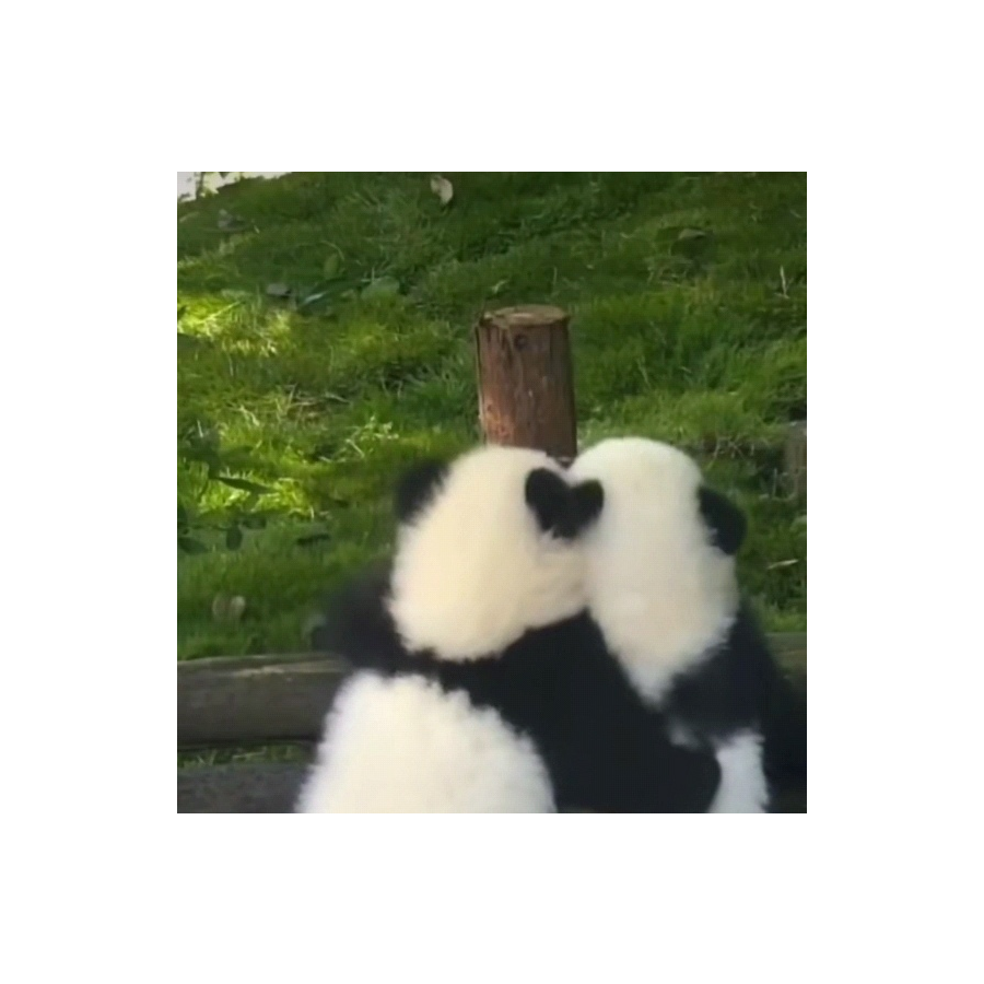 慧宝宝