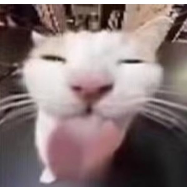 腾家呦嘿