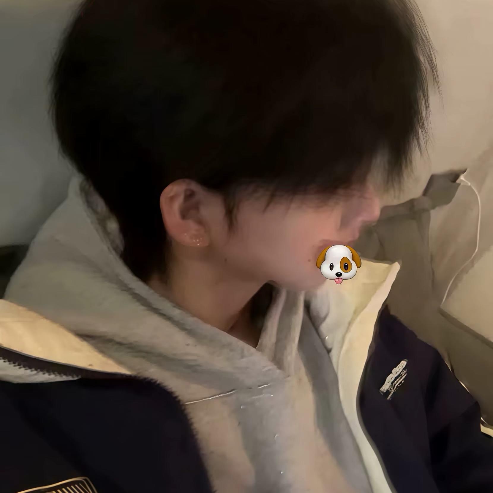 桐桐桐