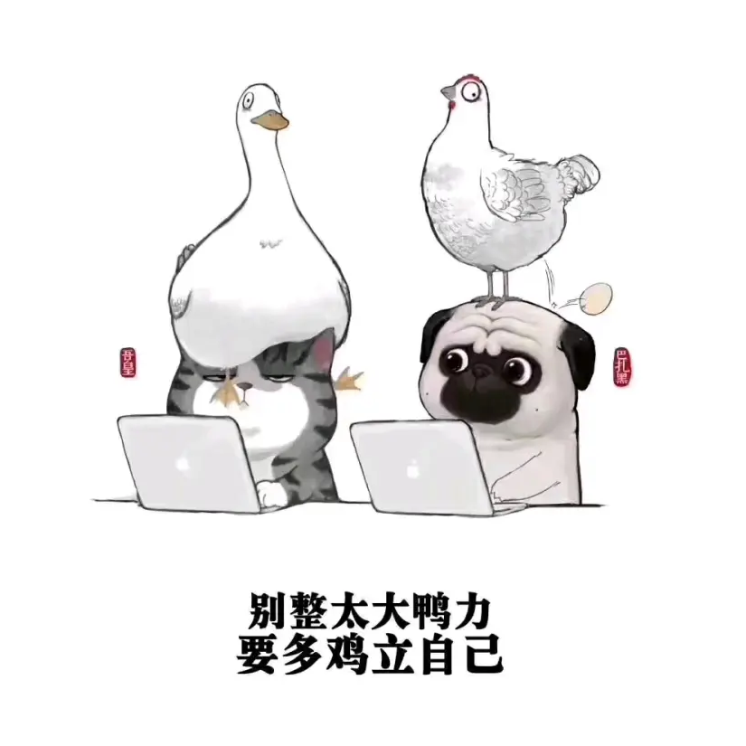 游戏宅玩