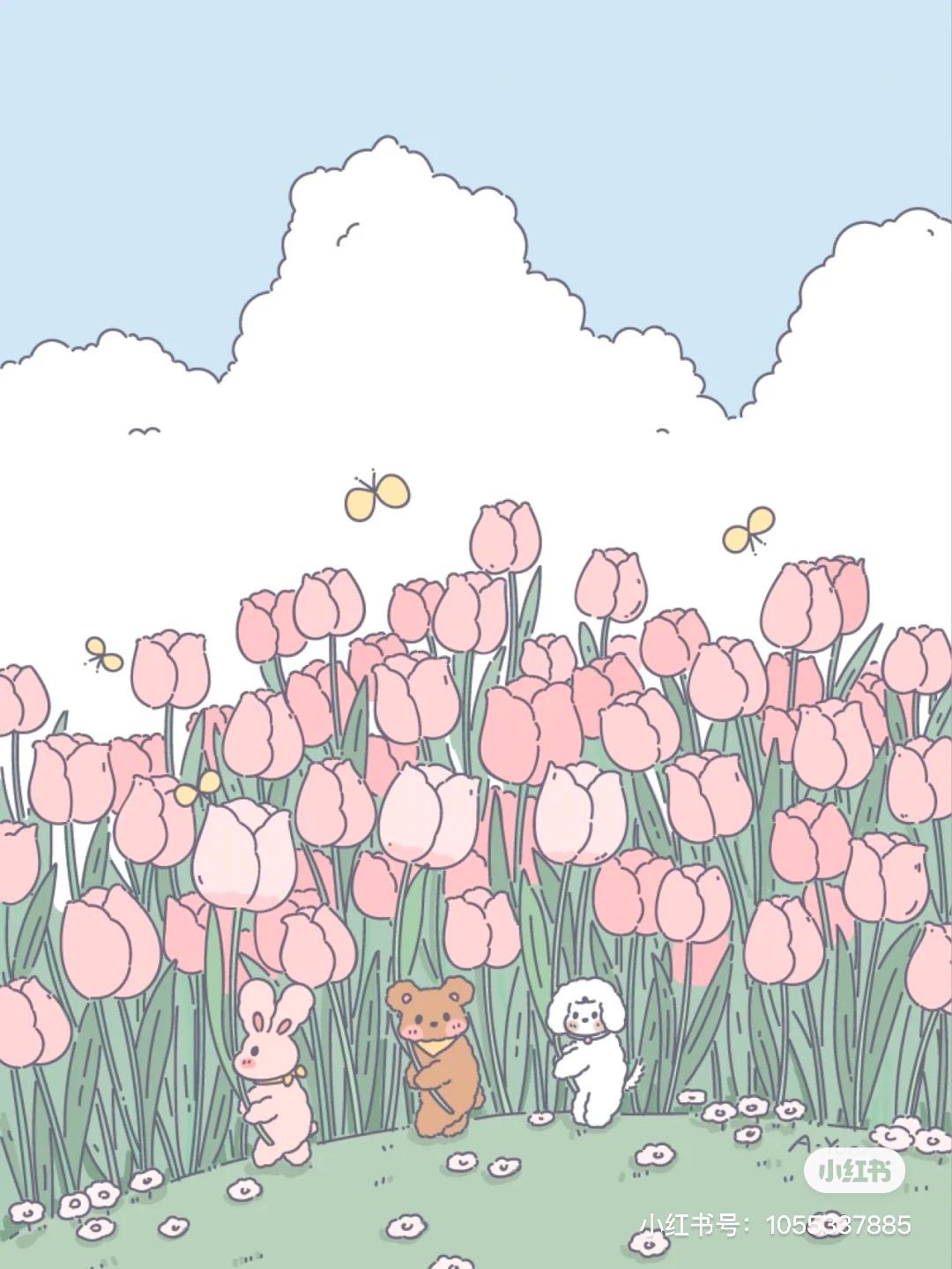 Kuma