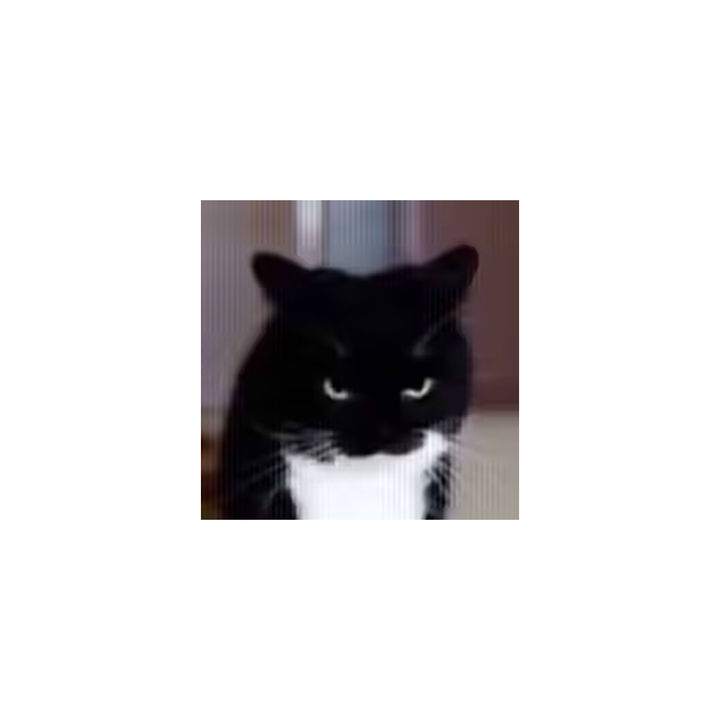 ♣