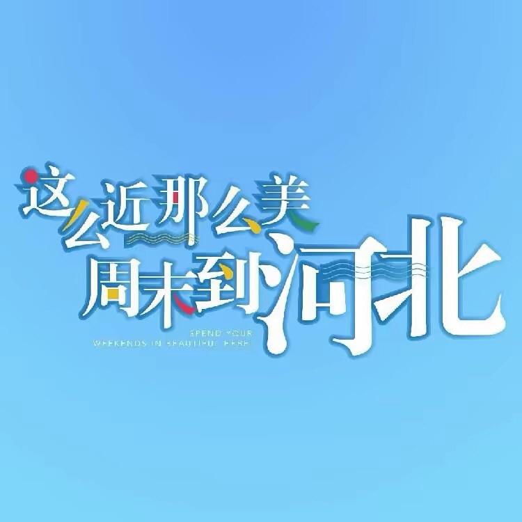 我是阳光卜