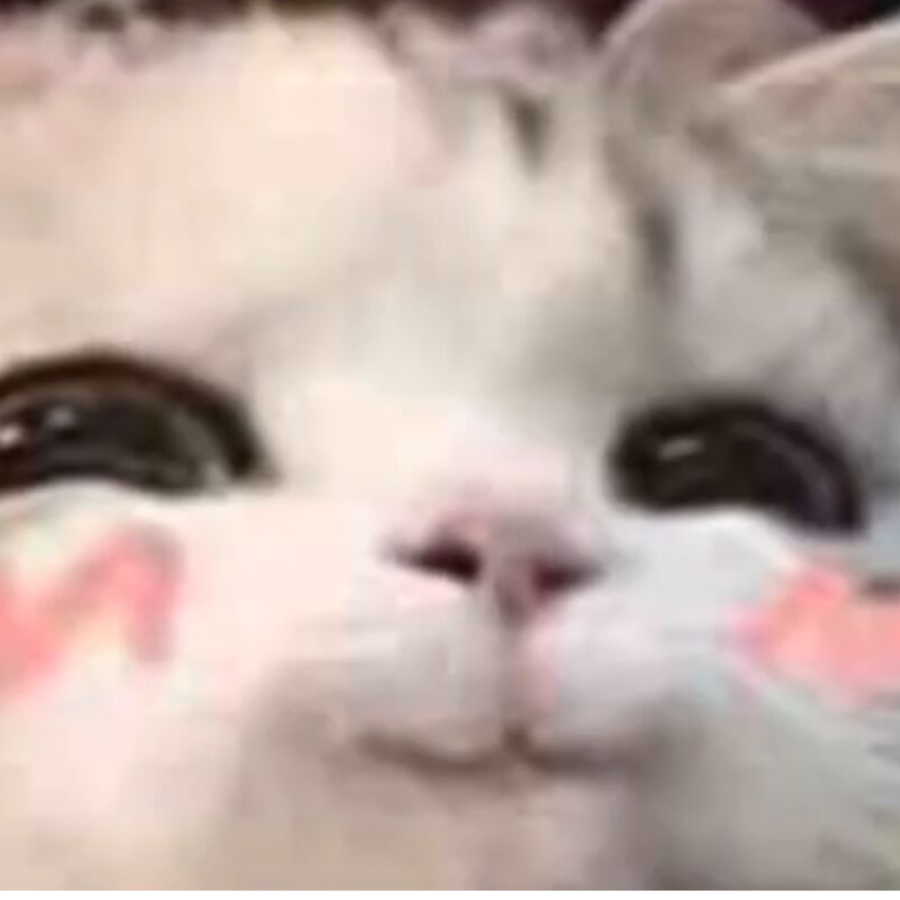~云♥醉~