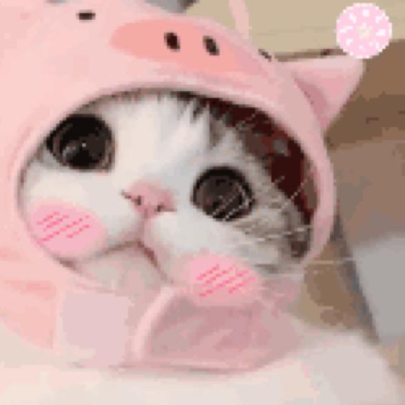 映安