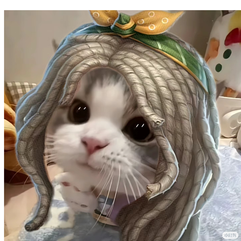 葵