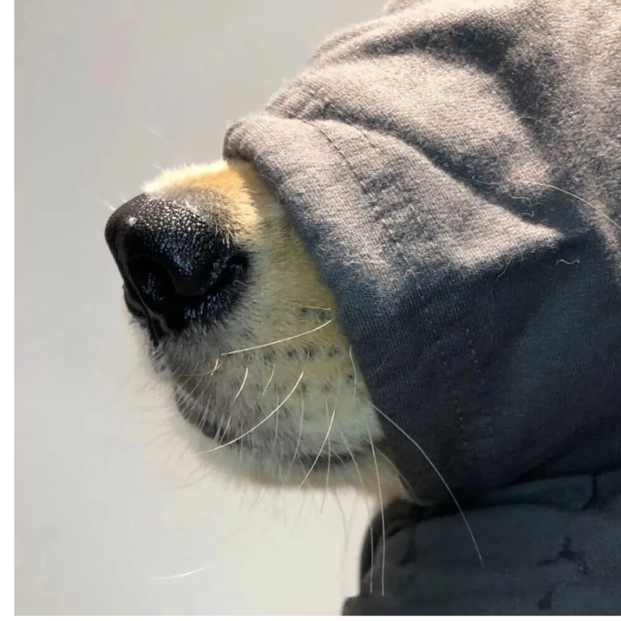 生活不随性