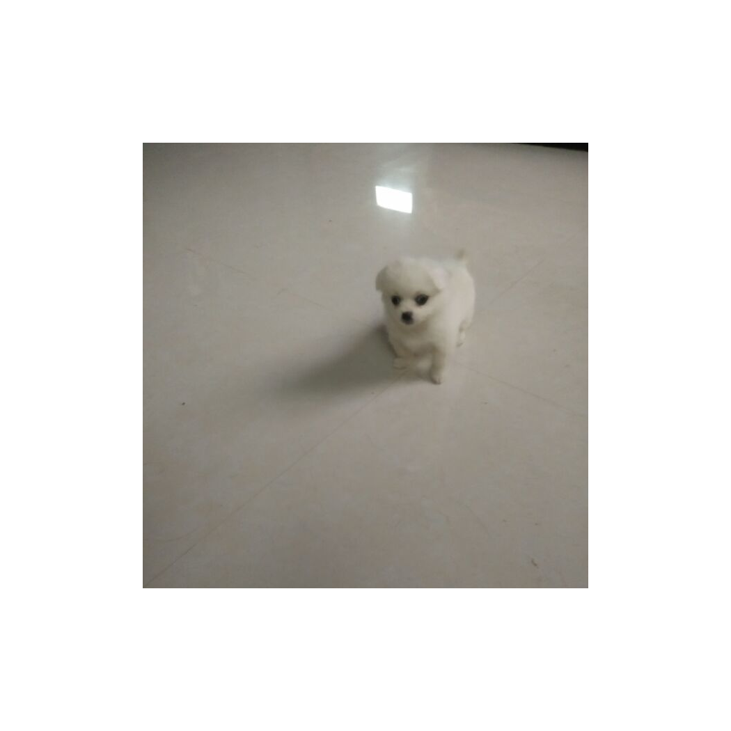 救赎