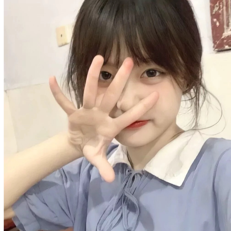 森林起雾了