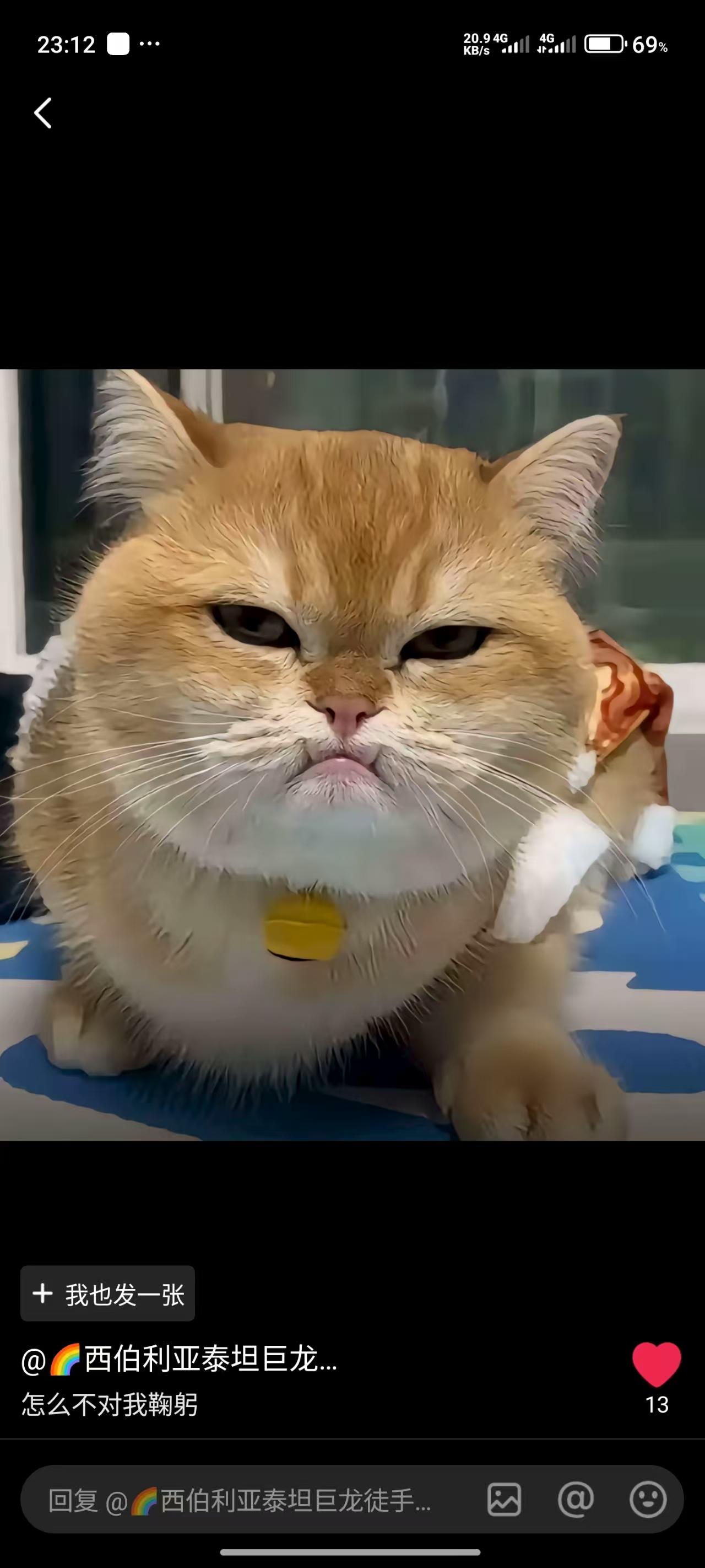 bin又骗我们