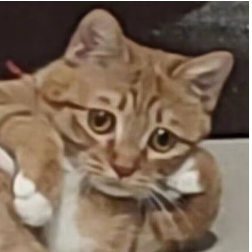 (｢･ω･)｢嘿