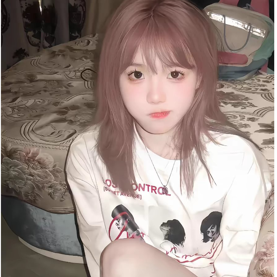 鹤樊皖