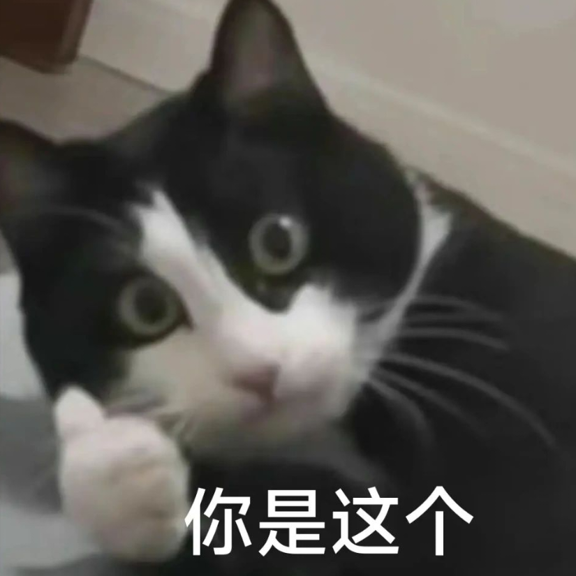 姐妹我懂你因为我也是绿茶