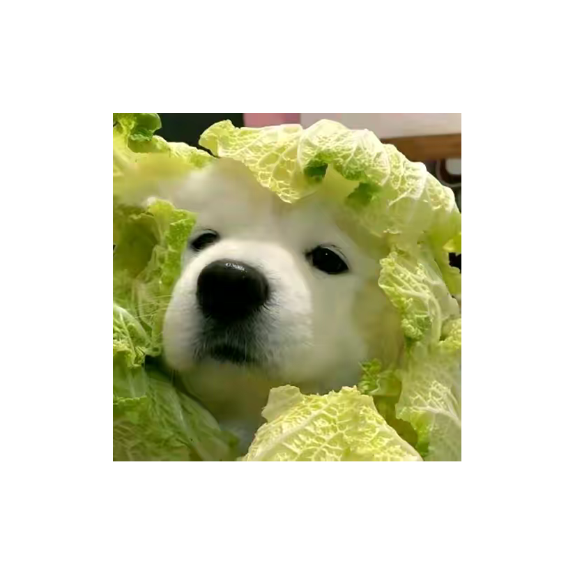 安