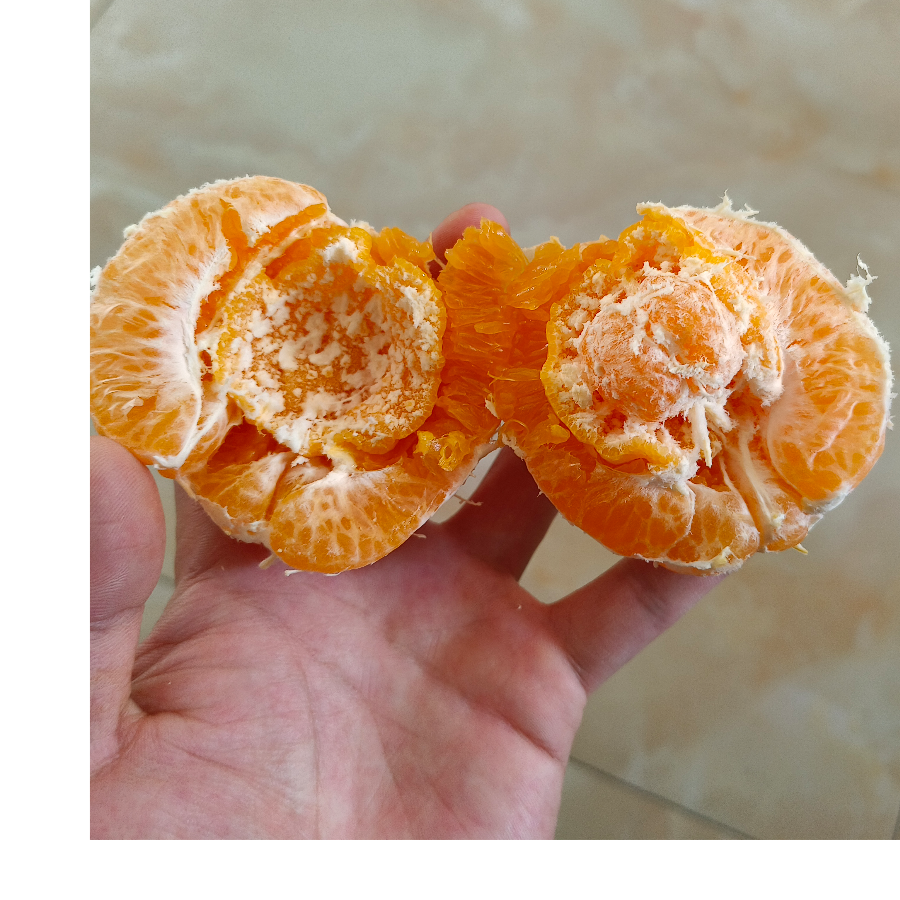 橘怀橘
