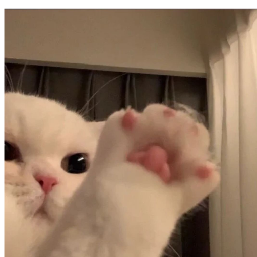 草莓终结者