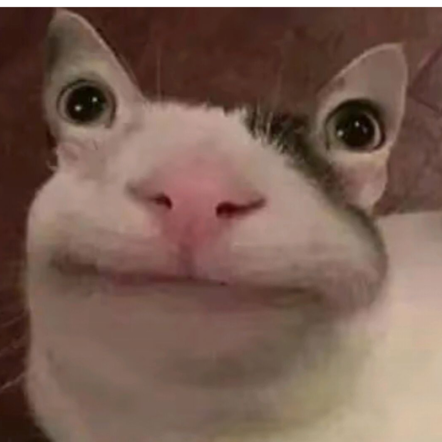 呵呵哒氵