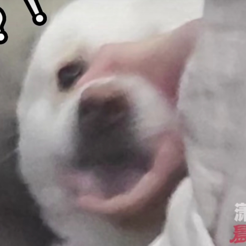 喂.