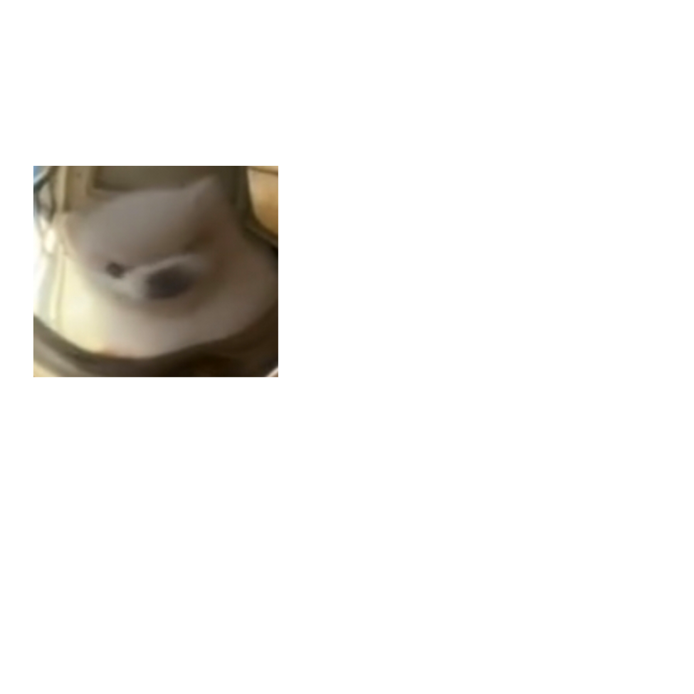 公钦