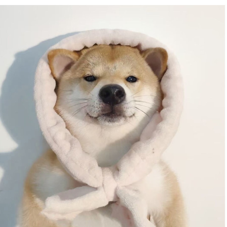 青冘