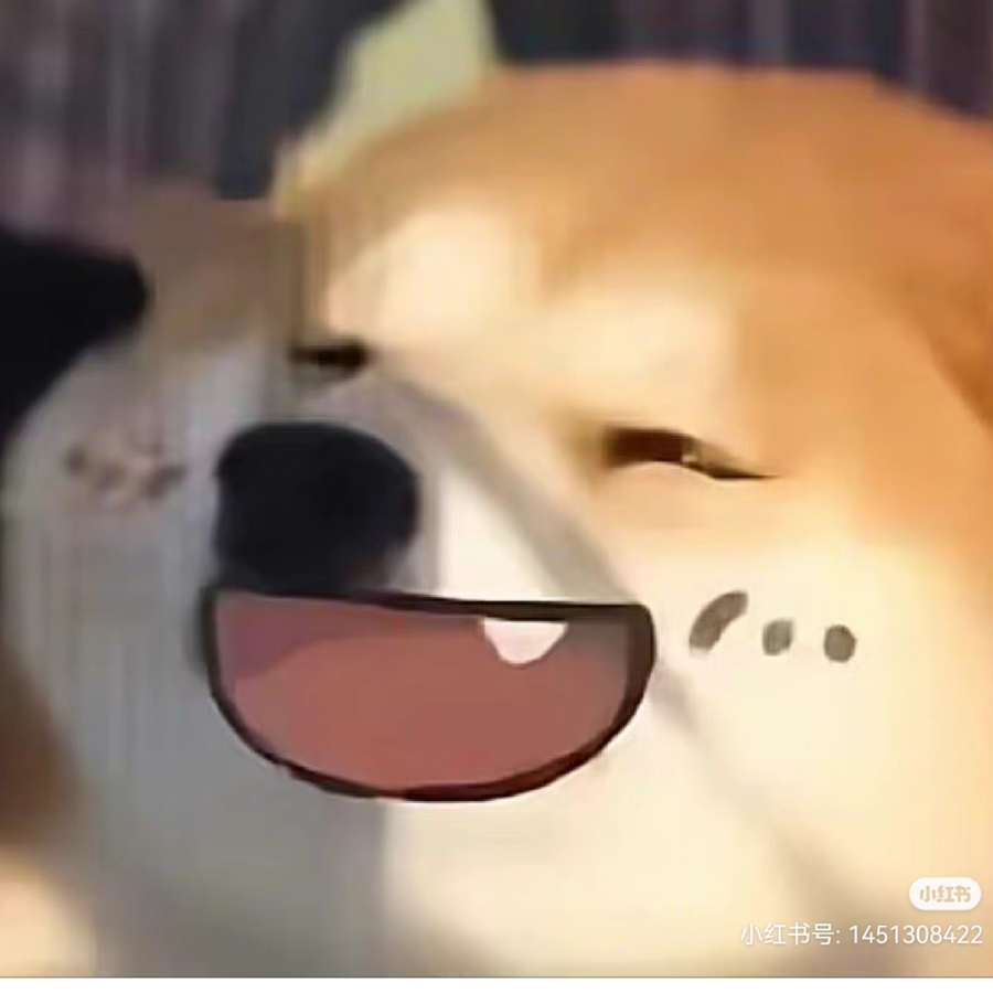 手机用户58164153