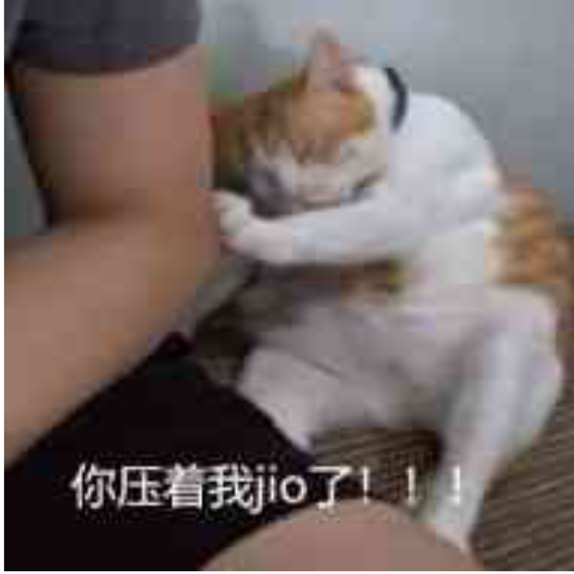 花雨