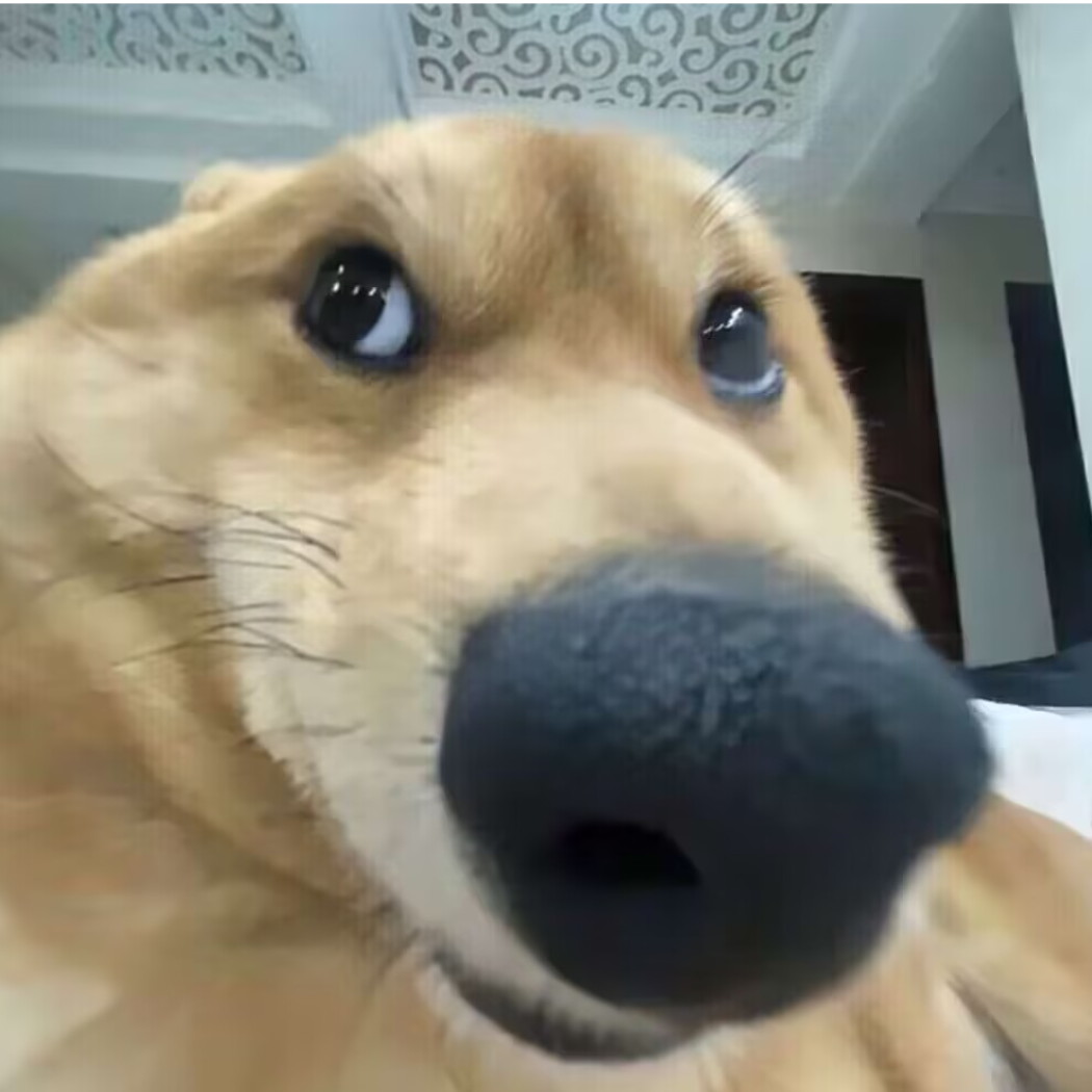 她胃不好总吃辣