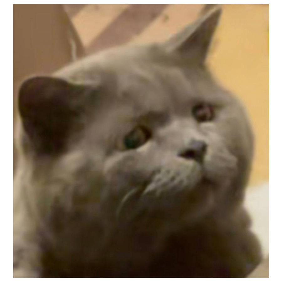 哈哈