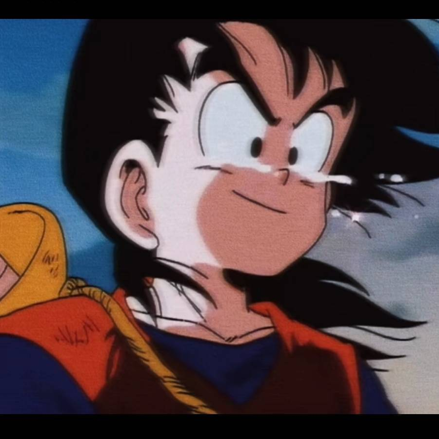 向日葵气味的人生