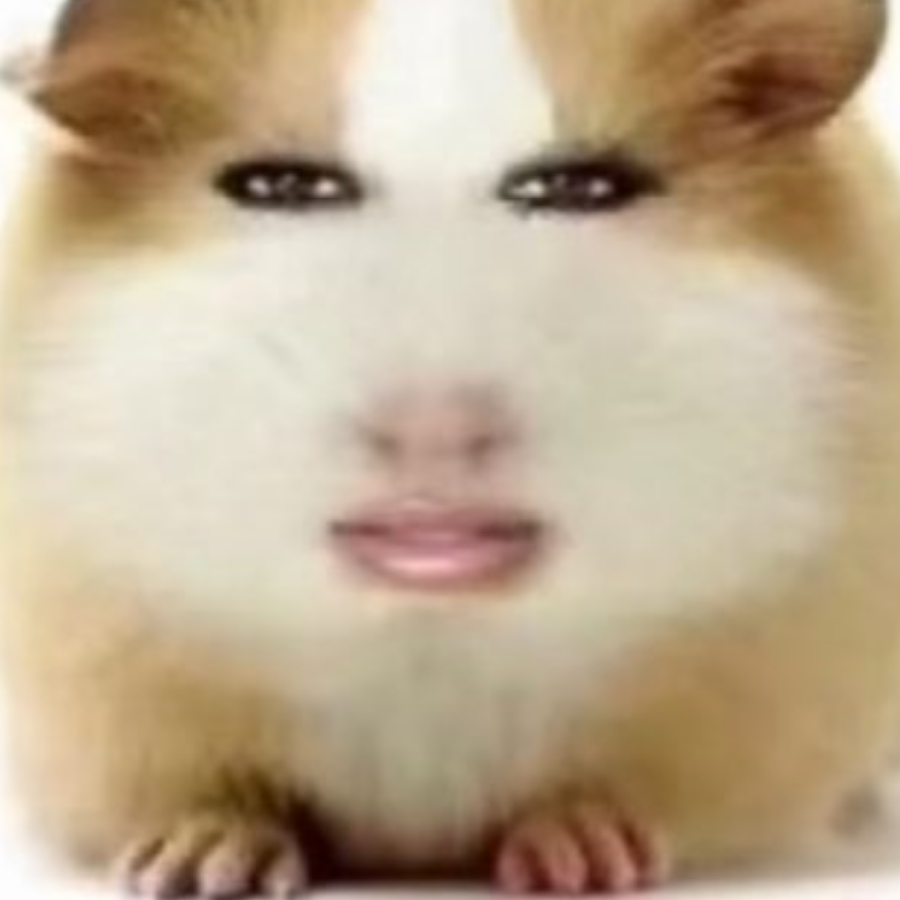 白不菜