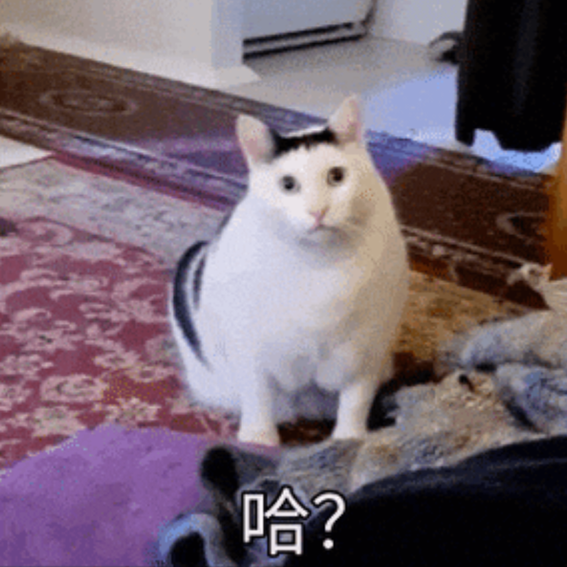 寄emmm
