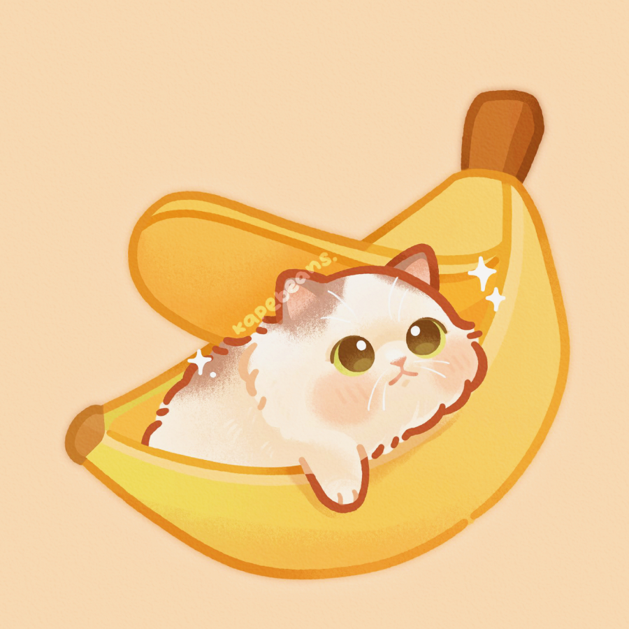 克洛伊鸭