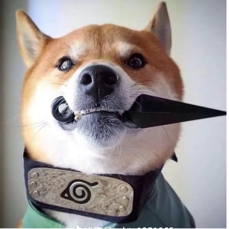 四季裁决
