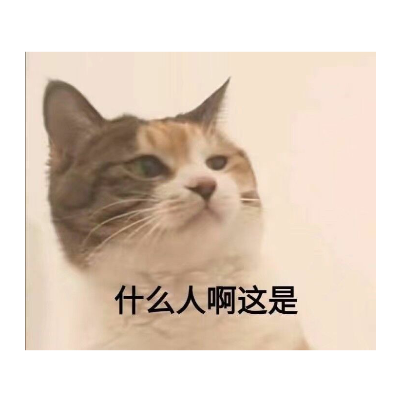 猫猫不知道
