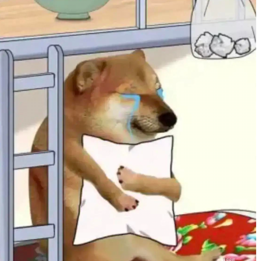 苦逼封校生