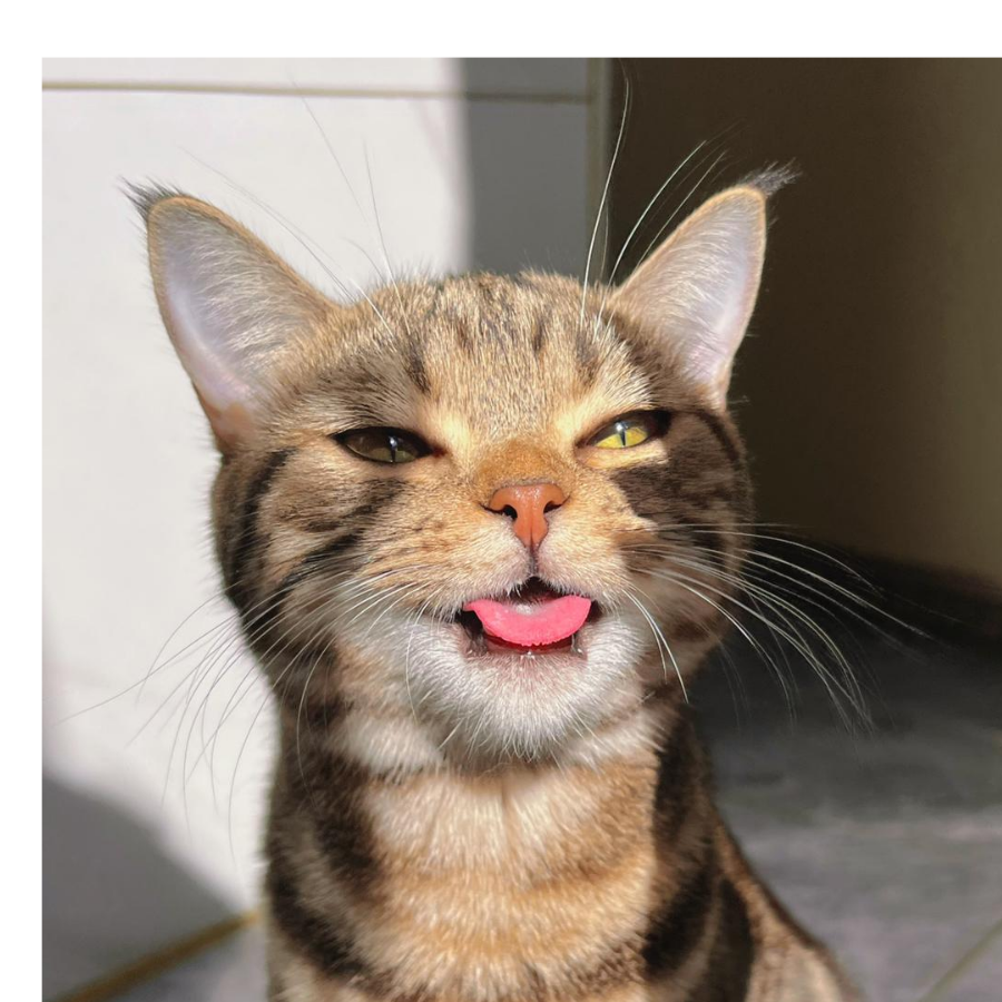 白