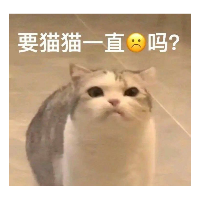 阿巴阿巴