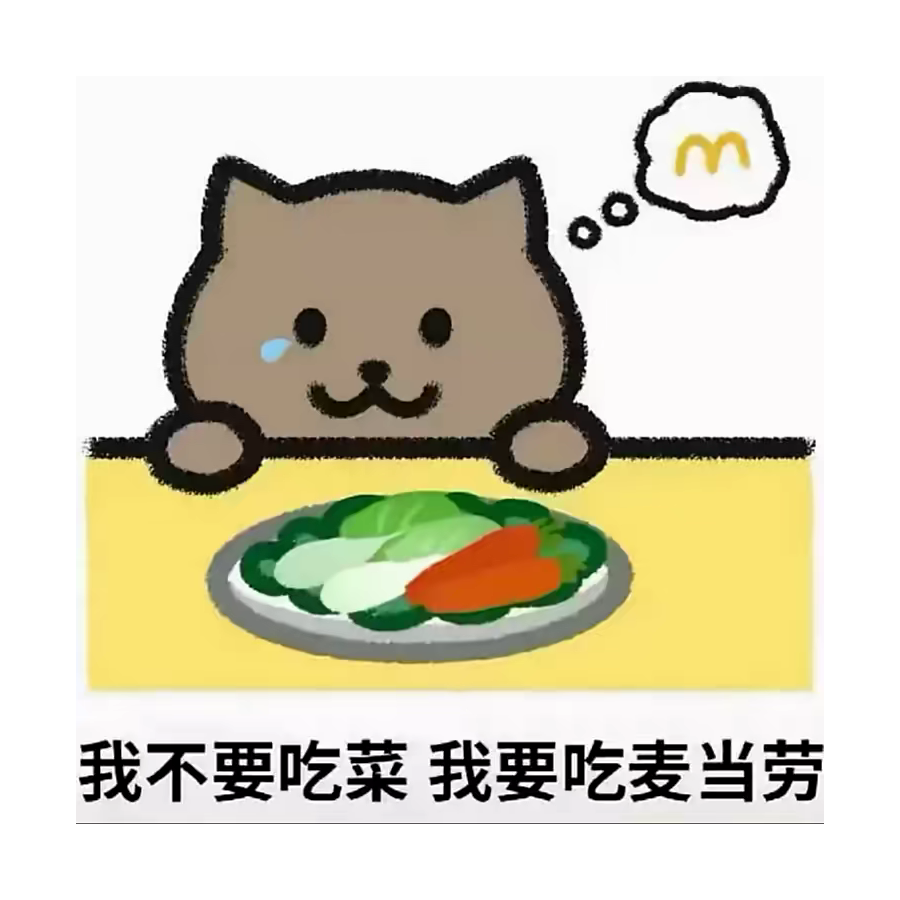 泪水打湿了猪脚饭胖猫想吃麦当劳