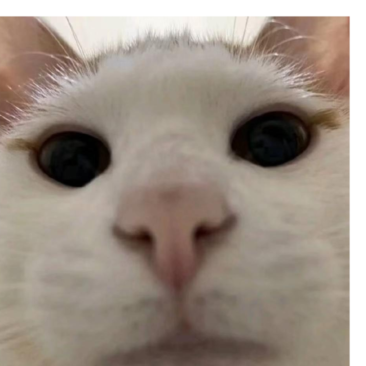 肥宅王