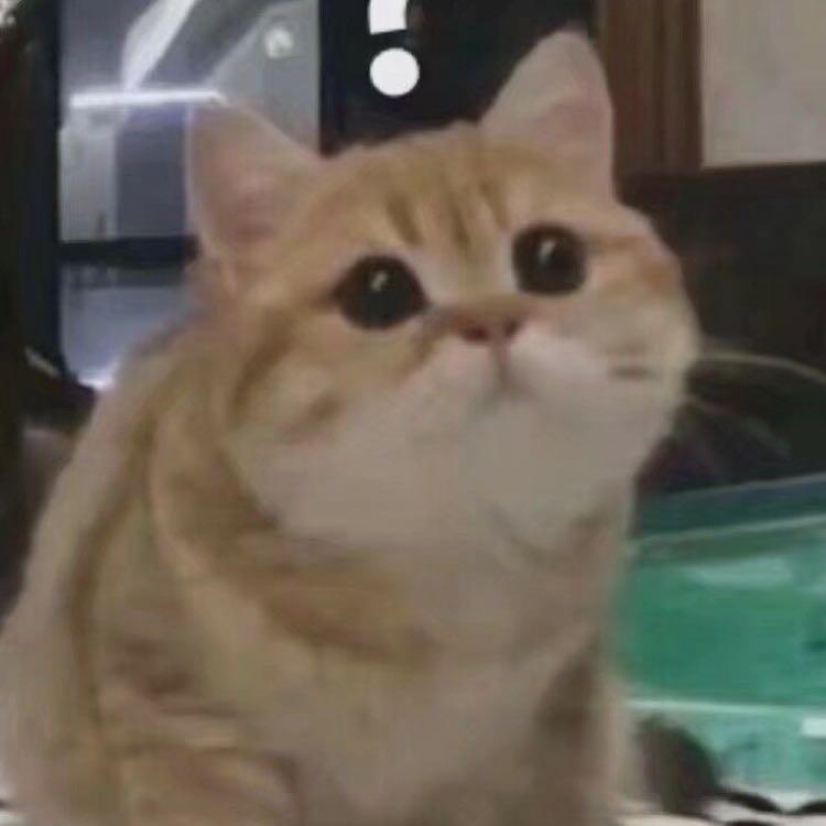 。。。