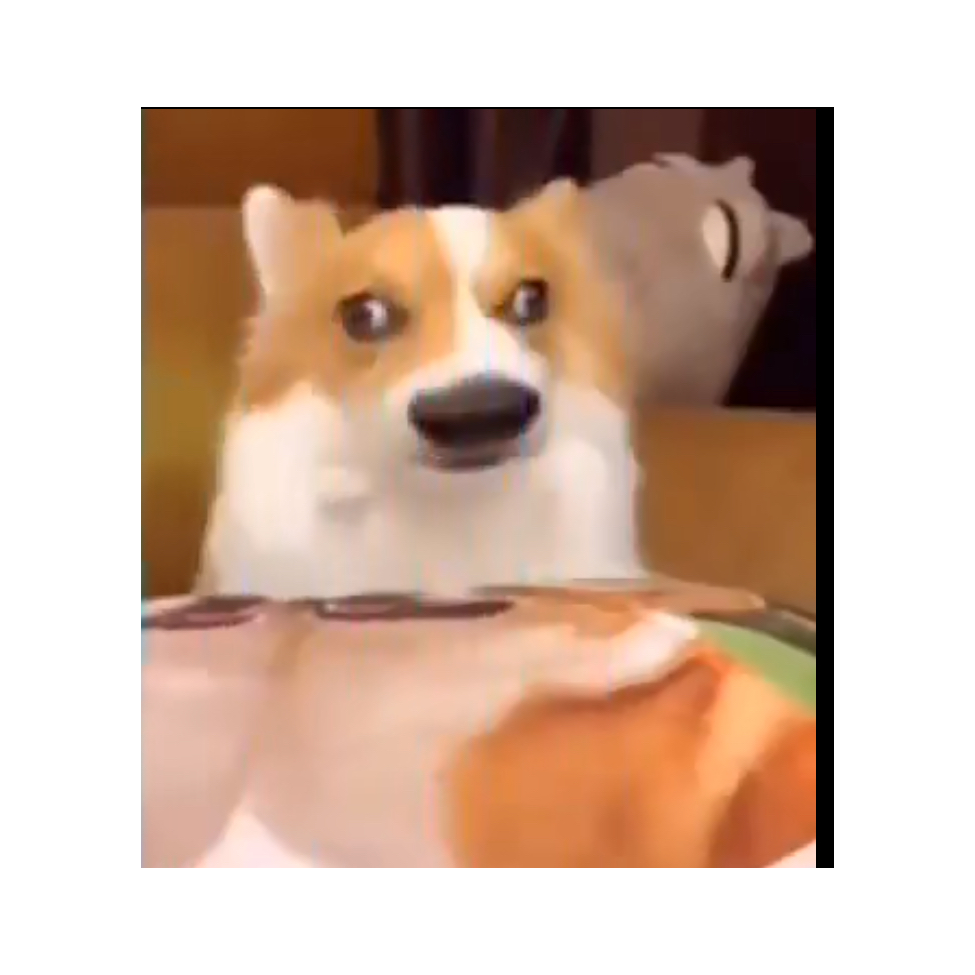 吱吱吱