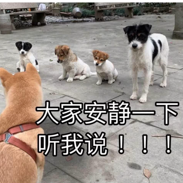 马牛逼。